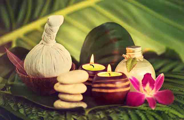 Ayurveda and wellness