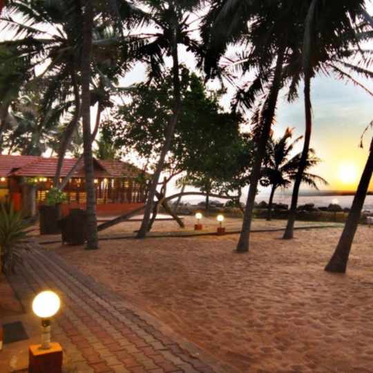 Luxury Ayurveda
										Retreats
