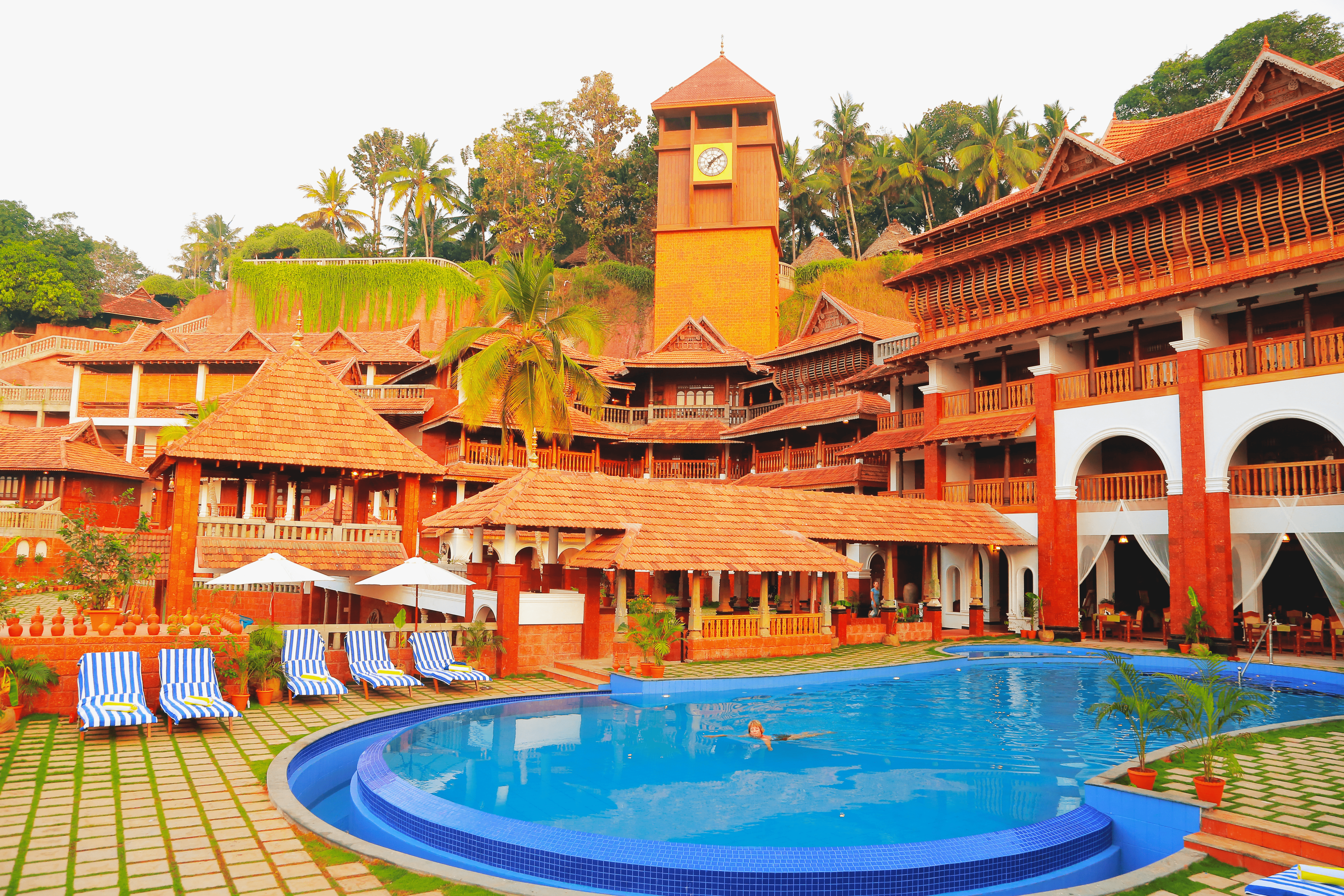AyurSoma Ayurveda Royal Retreat & Pool View