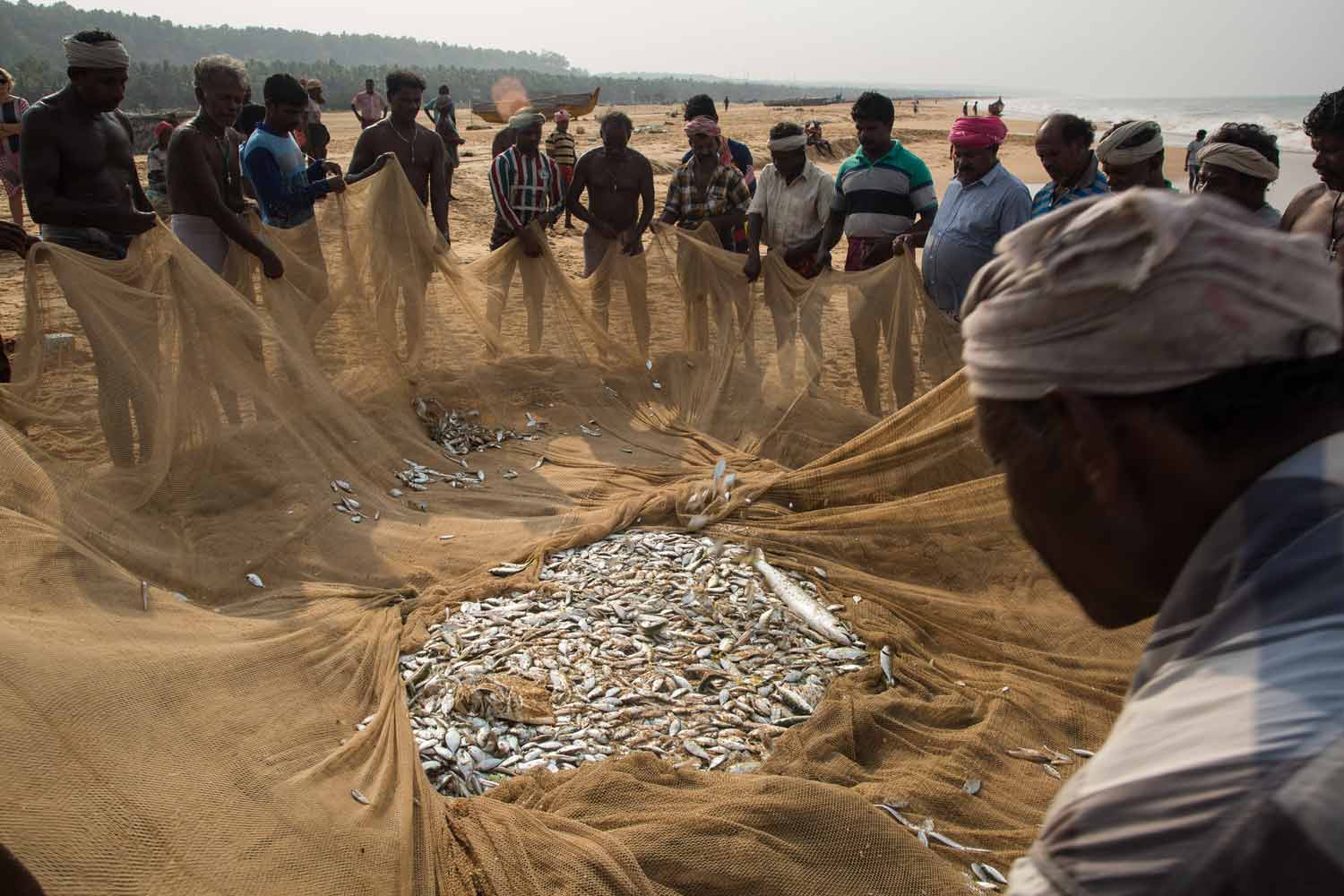 AyurSoma Ayurveda Royal Retreat Fisherman and Fish