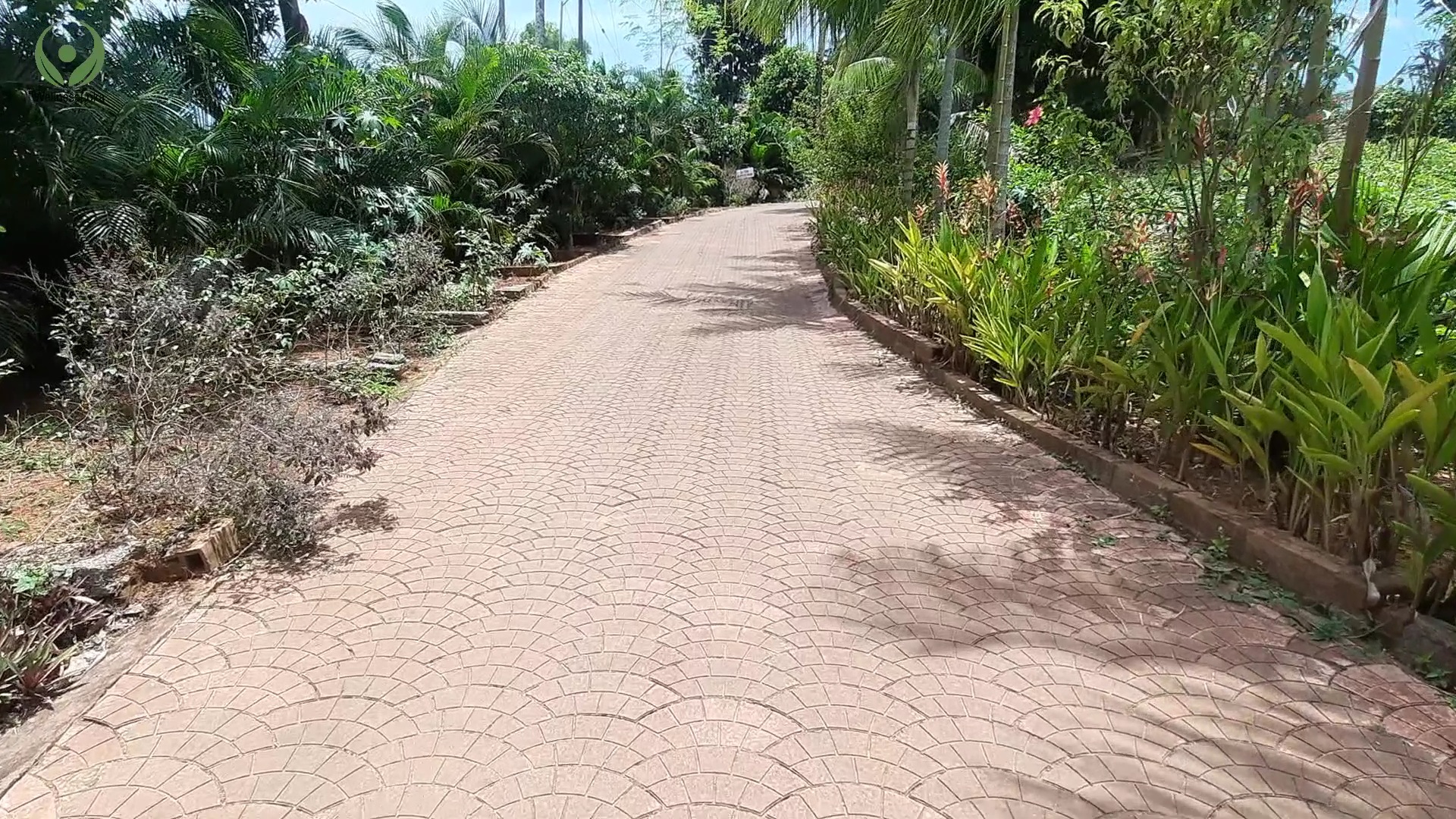 Rajah Healthy Acres Walking Pathway